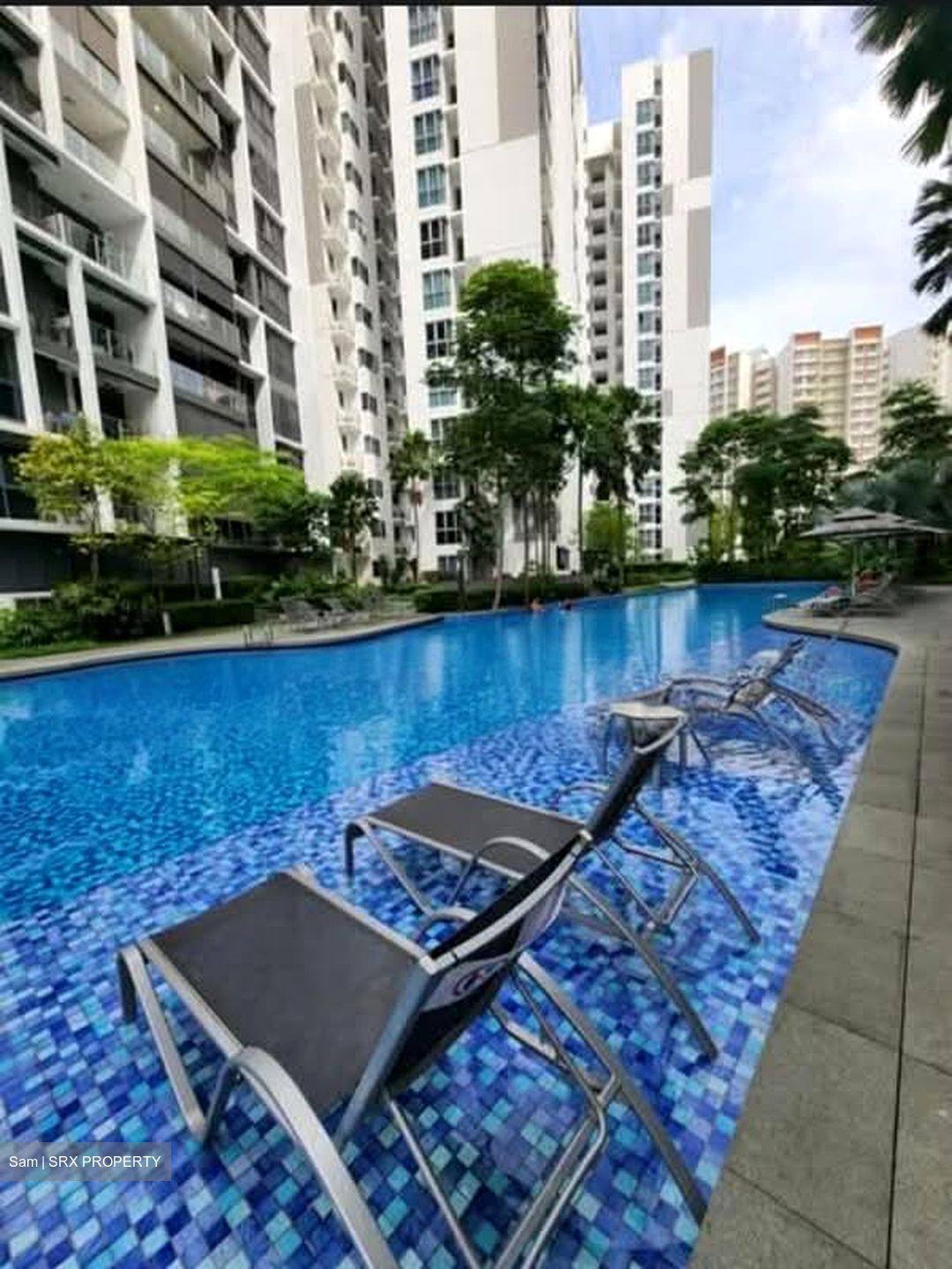 Bartley Ridge (D13), Condominium #592963441